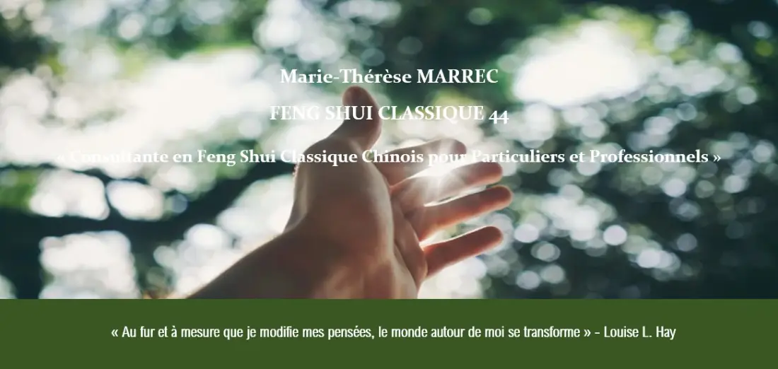 Qui suis je feng shui classique 44