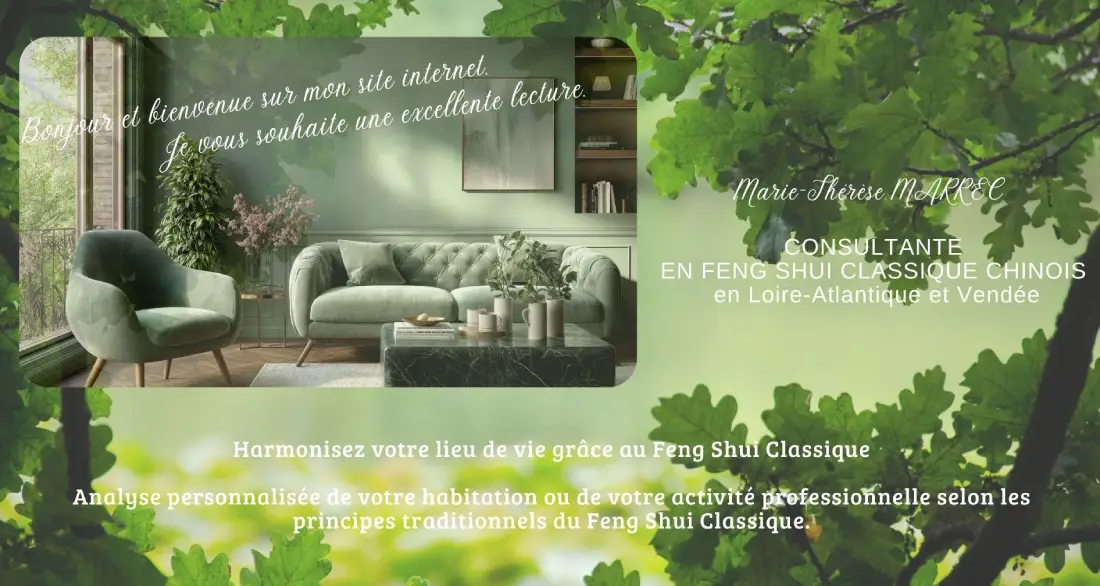 Accueil 1 feng shui classique