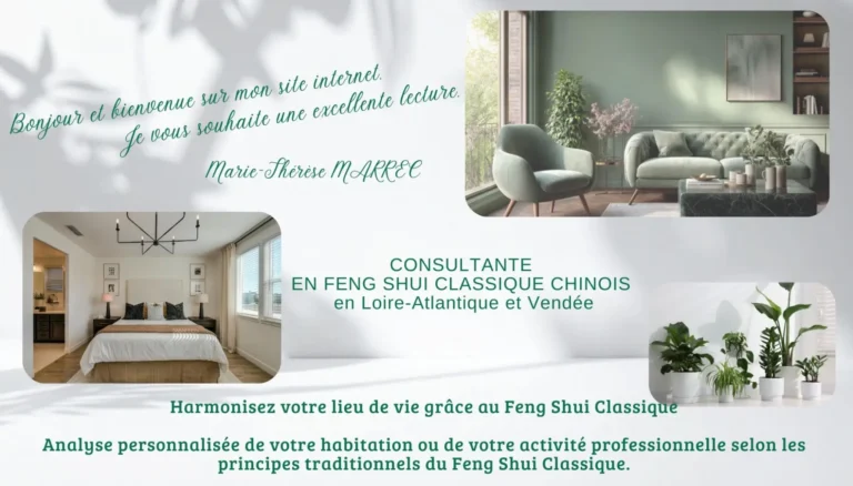 Accueil feng shui classique 44 (1)