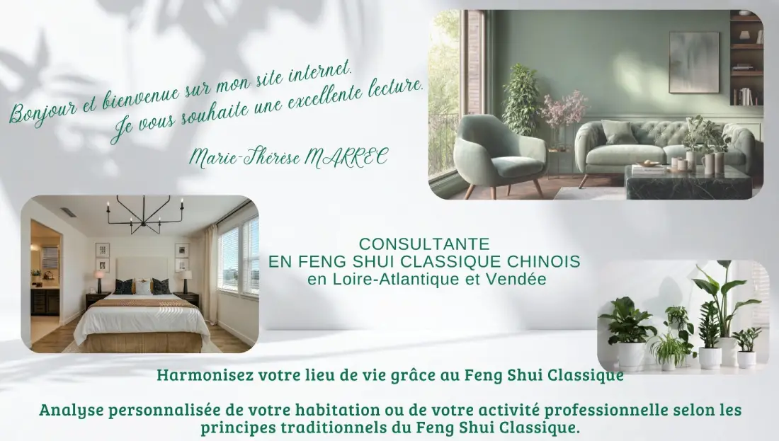 Accueil feng shui classique