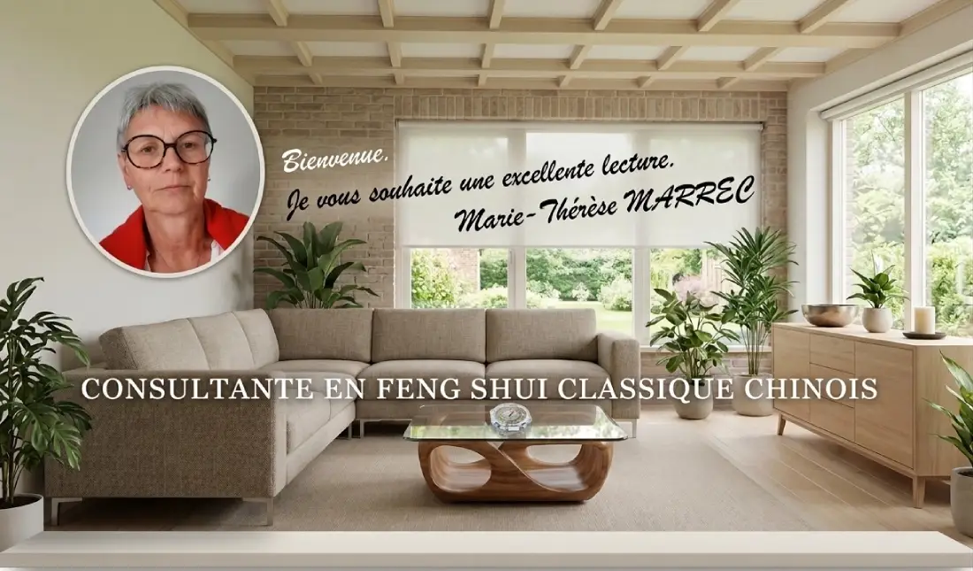 Page accueil feng shui classique 44gemini