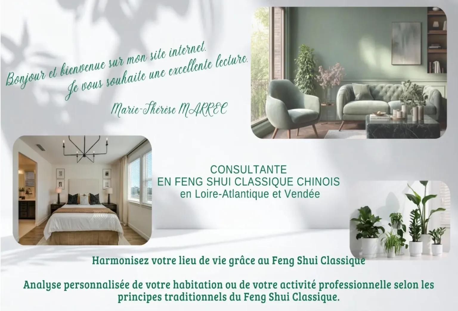 Accueil 4 feng shui classique