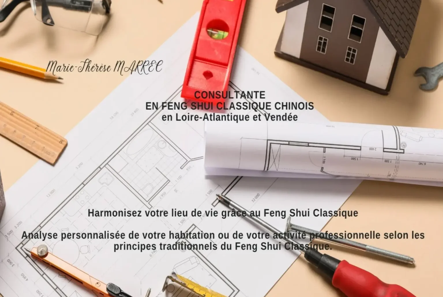Etude et devis 2 Feng Shui Classique